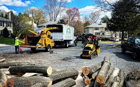 Best Lot and Land Clearing  in Guilford Center, CT